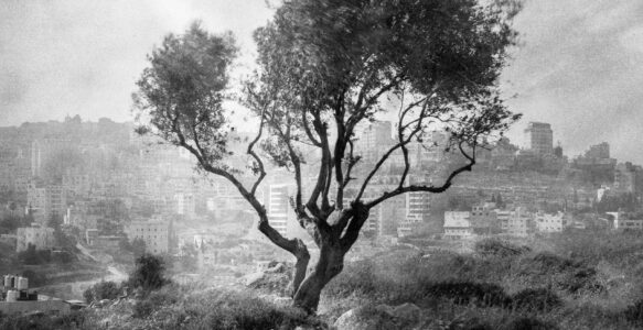 Finnish Student Works Presented at Rotterdam Photo 2026 as Part of Backlight Collaboration