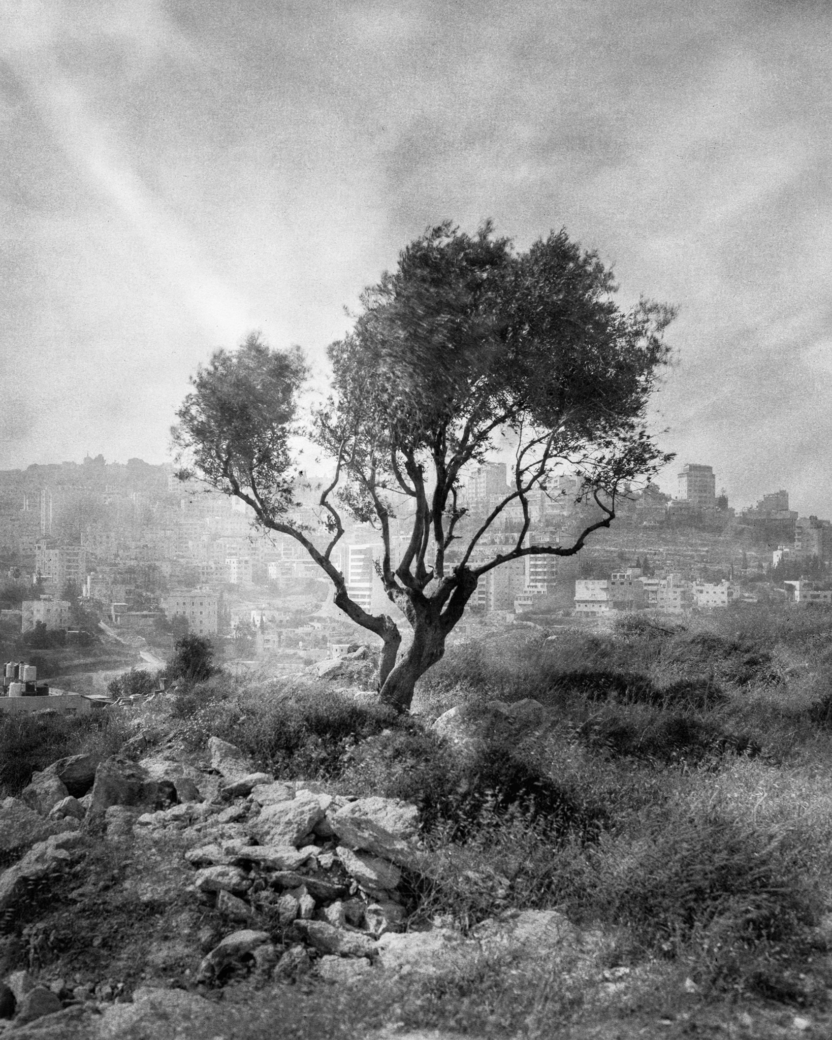 Finnish Student Works Presented at Rotterdam Photo 2026 as Part of Backlight Collaboration